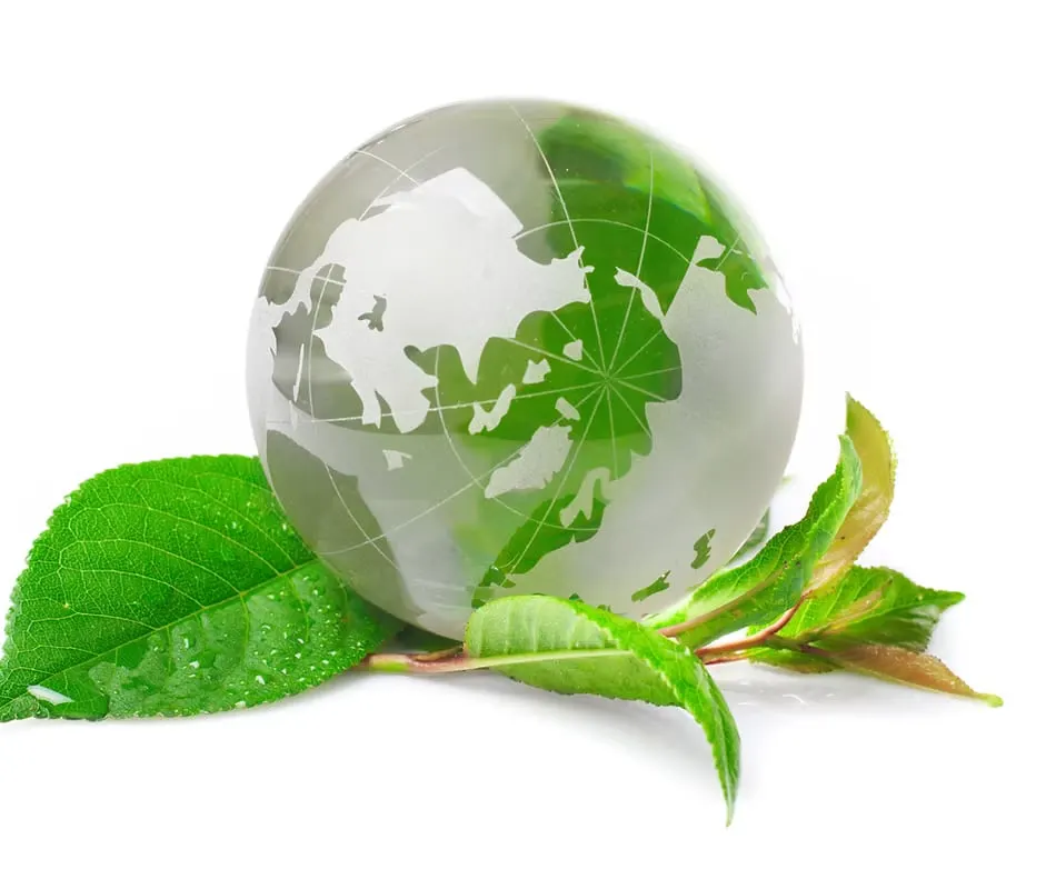 A glass globe resting on green leaves