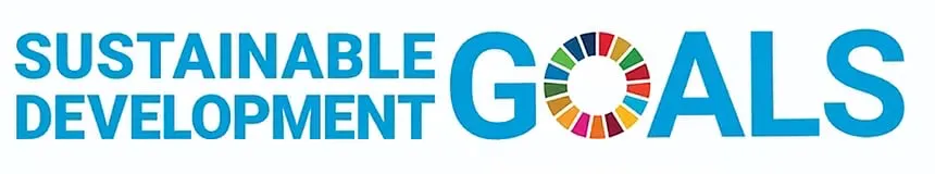 The UN Sustainable Development Goals logo