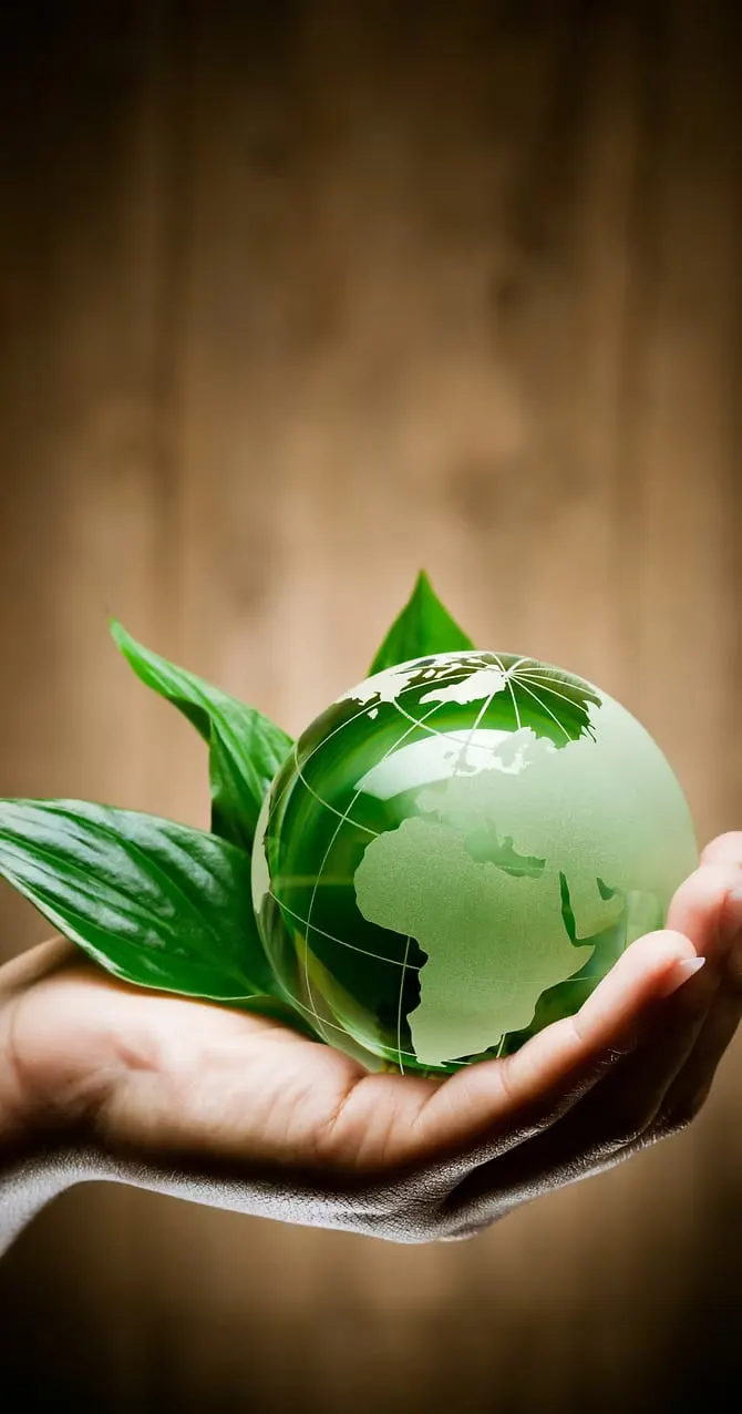 A hand holding a globe among leaves